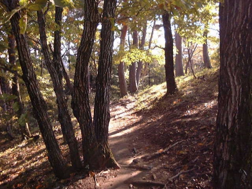 登山道