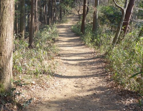 登山道