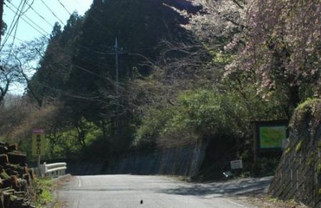 案内板