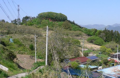 手振り山